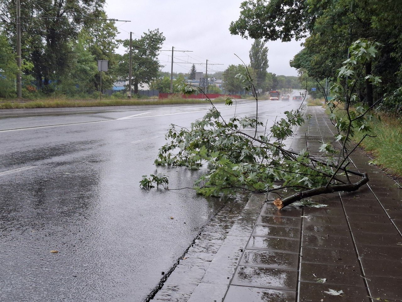 Częstochowa i okolice po ulewach. Ewakuacje obozów. Warta na poziomie ostrzegawczym