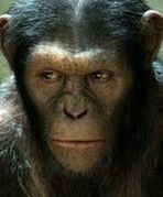 ''Rise of the Planet of the Apes'': Małpy przejmują planetę