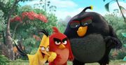 Box office USA: Wściekłe ptaki rozdziobały Crowe'a i Goslinga [PODSUMOWANIE]
