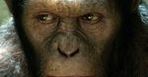 ''Rise of the Planet of the Apes'': Małpy przejmują planetę