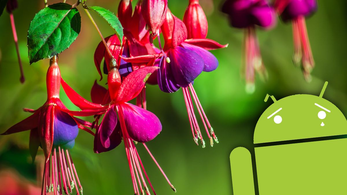Fuchsia OS - nowe wieści na temat potencjalnego następcy Androida 1