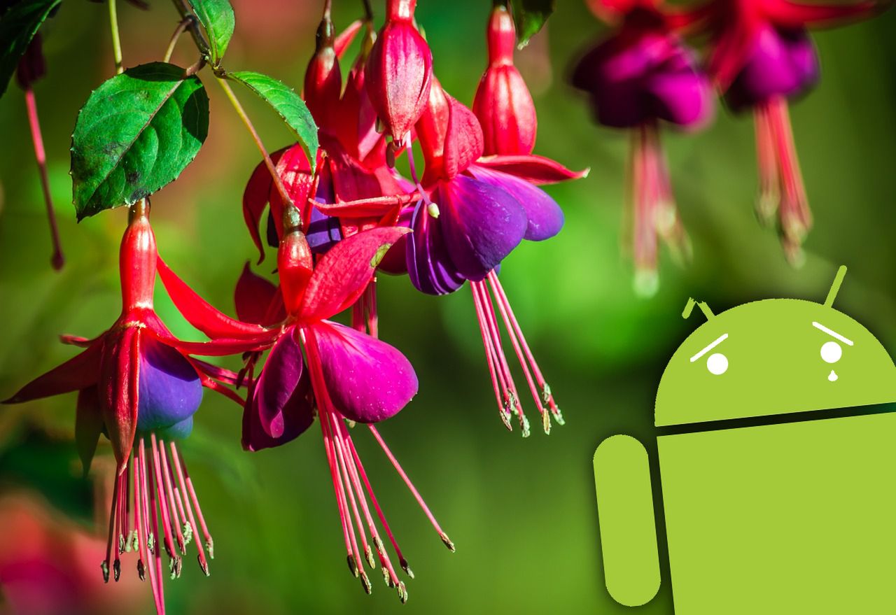 Fuchsia OS - nowe wieści na temat potencjalnego następcy Androida