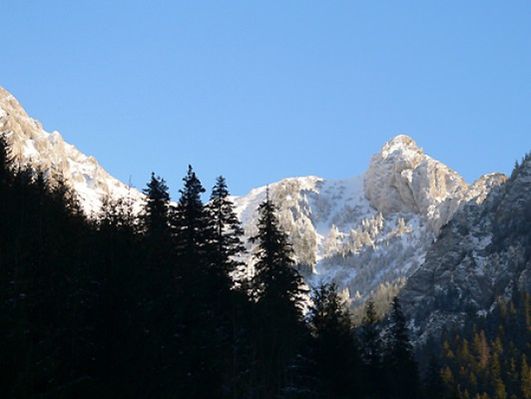 Obraz