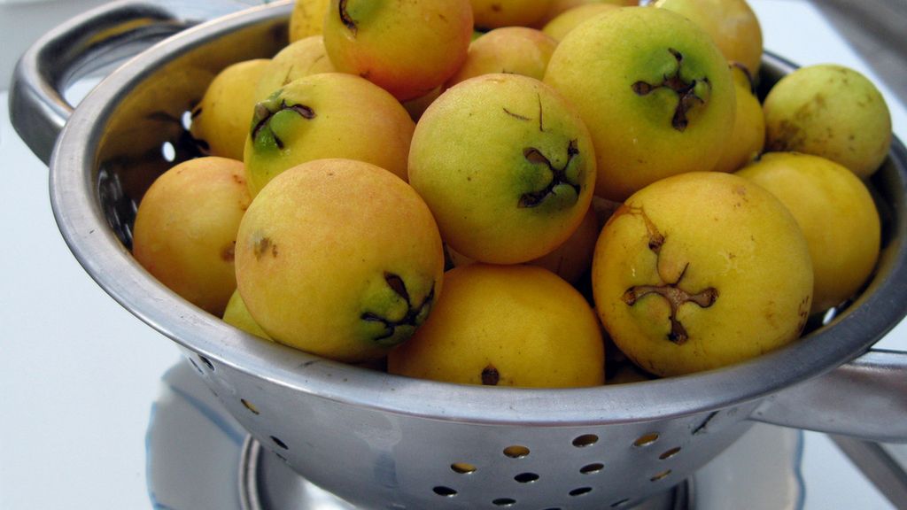 Surowa gujawa truskawkowa