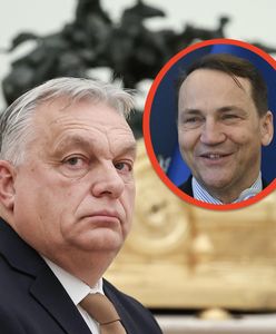 "Wypowiedzenie wojny". Orban grzmi,  Sikorski zakpił krótkim wpisem