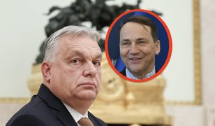 "Wypowiedzenie wojny". Orban grzmi,  Sikorski zakpił krótkim wpisem