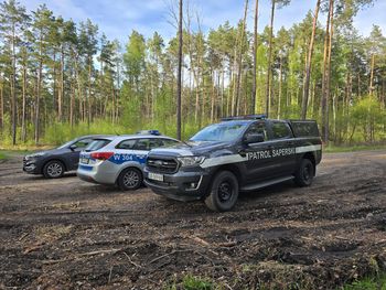 Znalezisko w lesie. Ponad tona niebezpiecznych materiałów