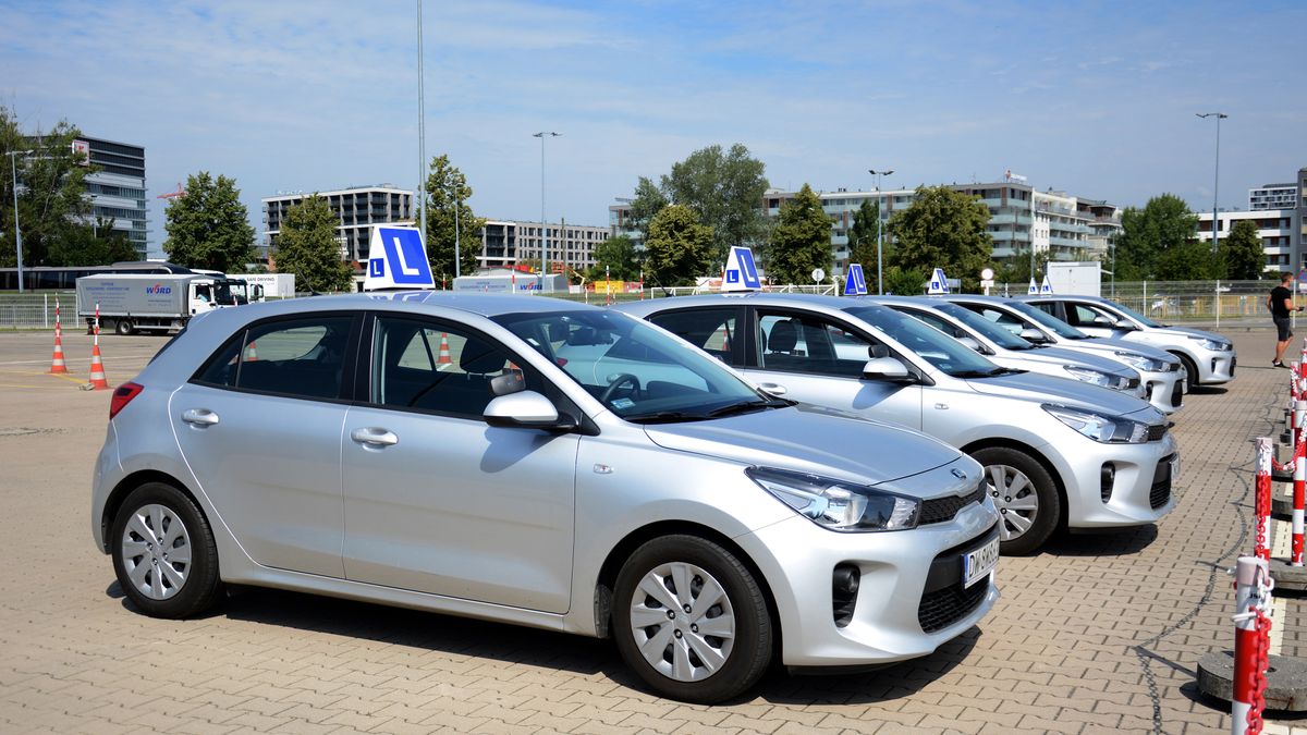 WORD prawo jazdy egzamin na prawo jazdy elka