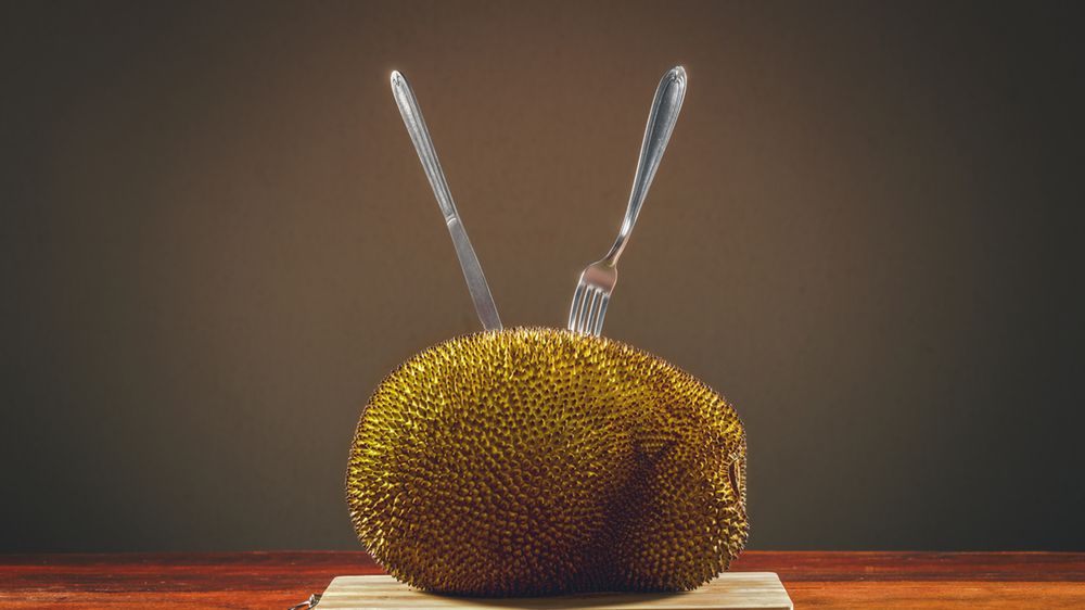 Jackfruit – gdzie kupić, jak jeść i dlaczego warto?