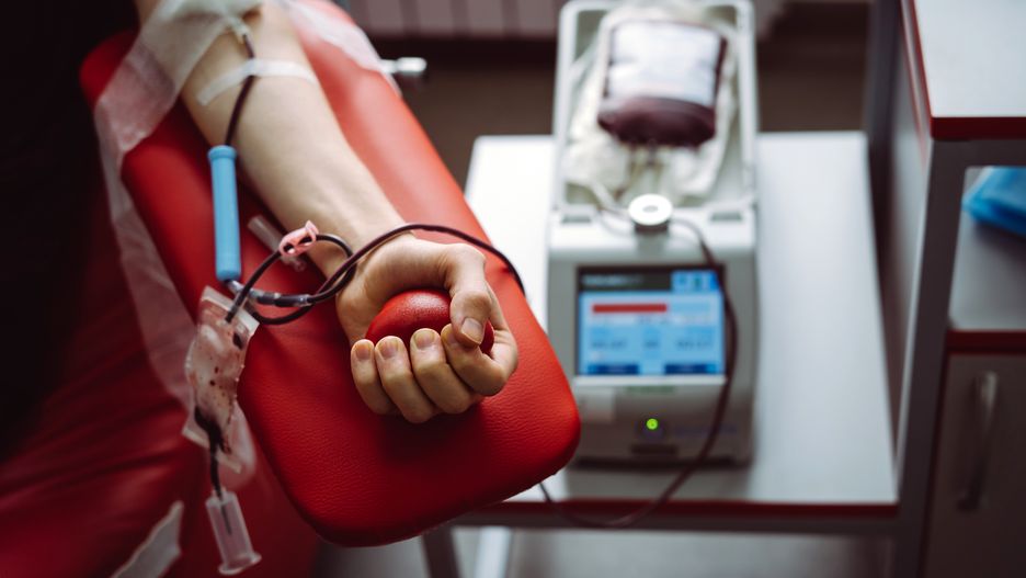The hand of a man who donates blood. Male donor gives blood in a blood donation center
The hand of a man who donates blood. Male donor gives blood in a blood donation center
blood, test, donation, give, clinic, patient, hand, medicine, male, charity, laboratory, healthcare, blood donation, donor, hospital, care, transfusion, needle, arm, man, close-up, protective gloves, heart, squeeze, red, caucasian, science, life, protective, mobile, save, volunteer, plasma, biomedics, blood bag, activity, stress toy, bank, illness, therapy, adult, pump, supply, blood type