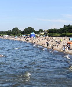 Sinice w Bałtyku. Sanepid zamyka kąpieliska