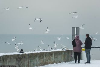 Nad morzem też chcą pomocy. Rząd mówi "nie"