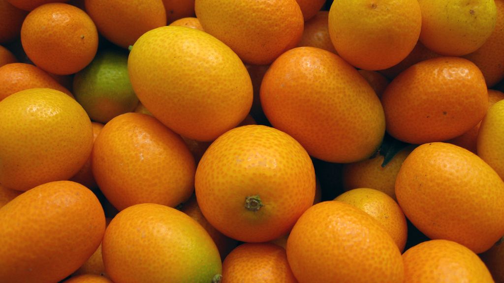 Kumkwat – charakterystyka, wartości odżywcze, właściwości zdrowotne, zastosowanie