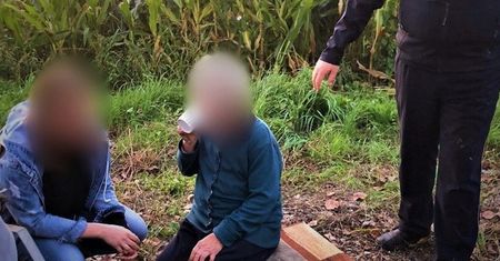 Dramat na Dolnym Śląsku. 85-latka znaleziona w polu kukurydzy