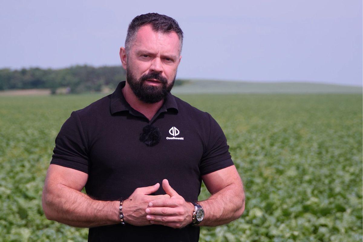 Czym zwalczyć chwościka buraka