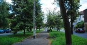 To było jak "zielona wyspa" w centrum Dąbrowy Górniczej. Tak 10 lat temu wyglądały aleje Majakowskiego