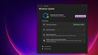 Windows 11: aktualizacja KB5120998 winna problemom z kursorem