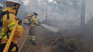 Lubelscy strażacy ruszą do Hiszpanii. Będą wspierać walkę z pożarami