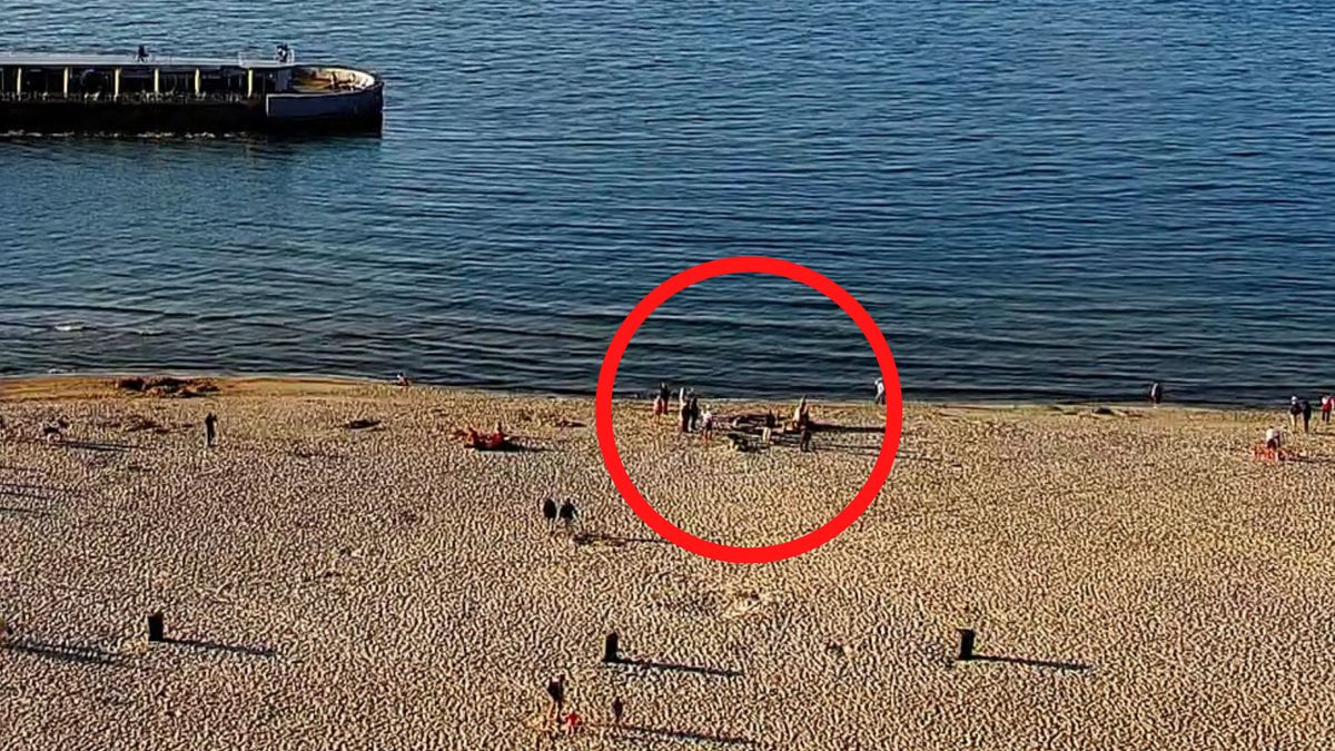 Niezwykły widok na plaży w Kołobrzegu.