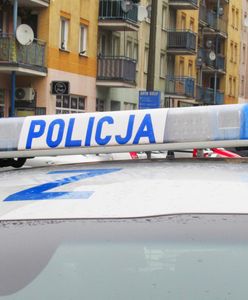 Odnaleziono 14-latkę. Jest komunikat policji