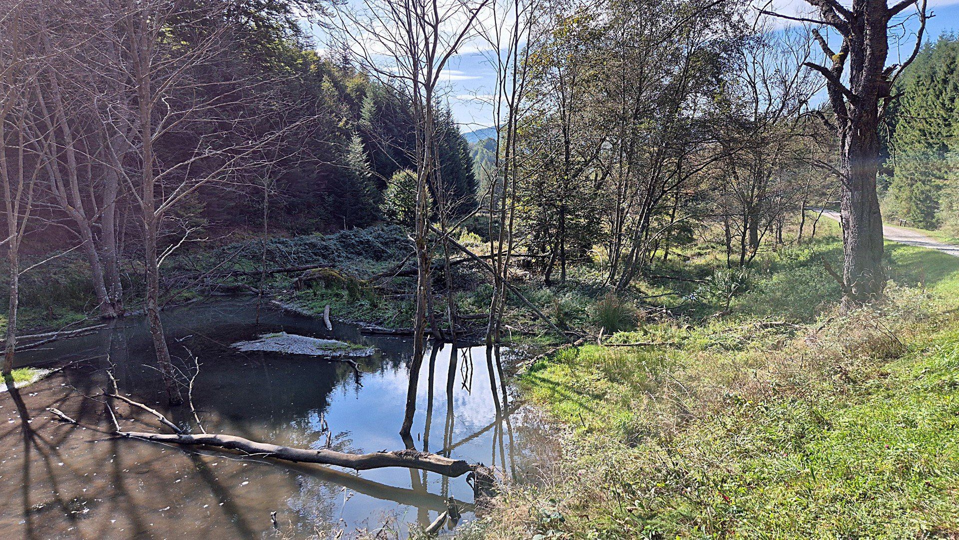 Beskid Niski ma wiele walorów