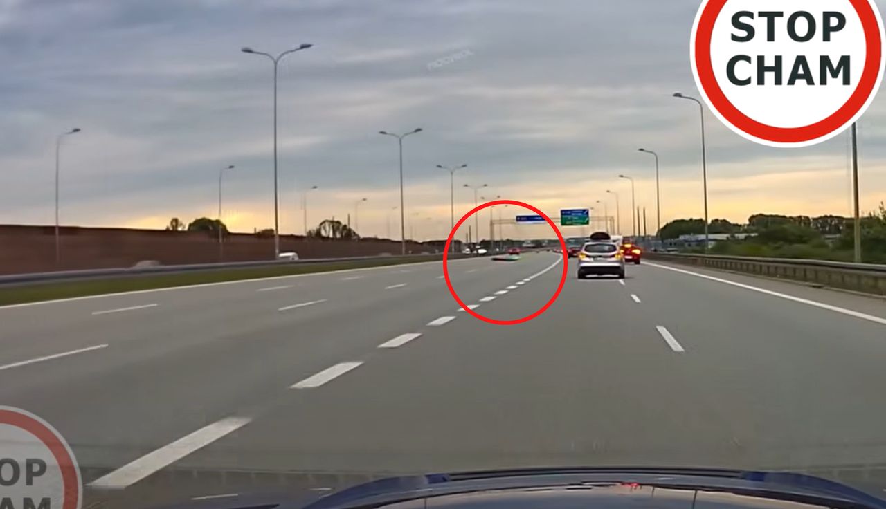 To nie wytwór AI. Leżał na środku A1. Nagranie obiega sieć