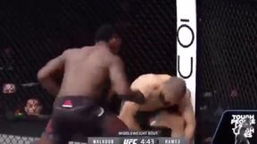 MMA. Potężny nokaut na UFC 254. Debiutant wygrał w... 18 sekund (wideo)