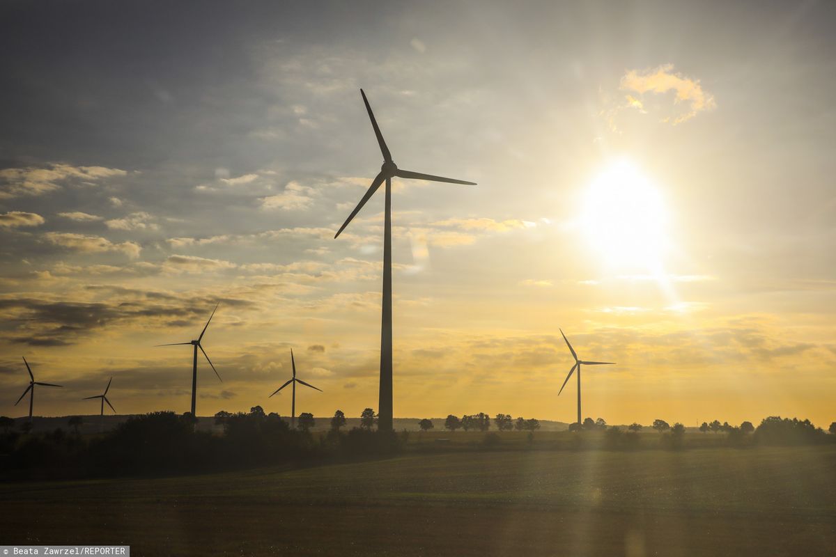 Energia elektryczna z OZE: innogy Renewables dostarczy ją do 3 browarów Kompanii Piwowarskiej 