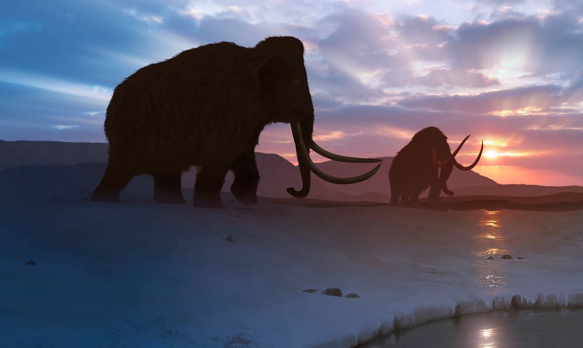 Wyginięcie mamutów i nosorożców włochatych rozpoczęło epokę wielkich pożarów