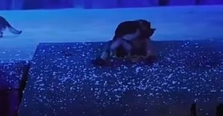 Ponad 430 mln wyświetleń. Publiczność w teatrze była w szoku