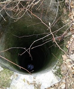 Tragiczna śmierć pod Zieloną Górą