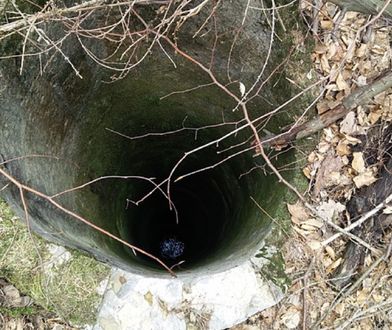 Tragiczna śmierć pod Zieloną Górą