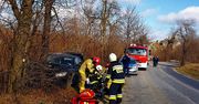 Śląskie. W Niegowonicach kierowca bmw uderzył w drzewo. Lądował helikopter LPR