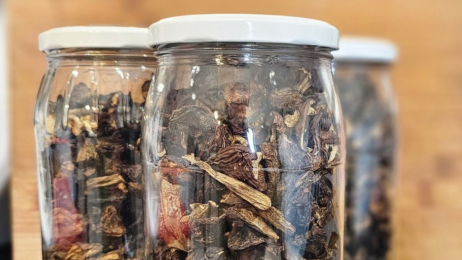 Zebrane grzyby można przyrządzić na świeżo, zamrozić lub zasuszyć.