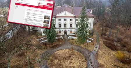 Wystawili pałac na sprzedaż. Cena może zaskoczyć