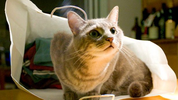 Nowa grupa oszustów grasuje na Allegro. Jak się przed nimi bronić? 1