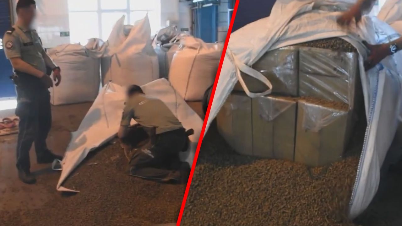 Niespodzianka w pellecie. Odkrycie na białoruskiej granicy