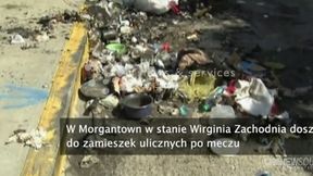 Zamieszki kibiców po meczu amerykańskiego futbolu w Morgatown