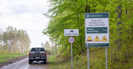 Kara za wjazd do lasu i jej podstawa prawna. Grzywna 500 zł lub 5000 zł