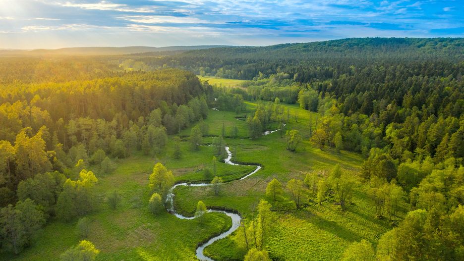 Roztocze to miejsce magiczne