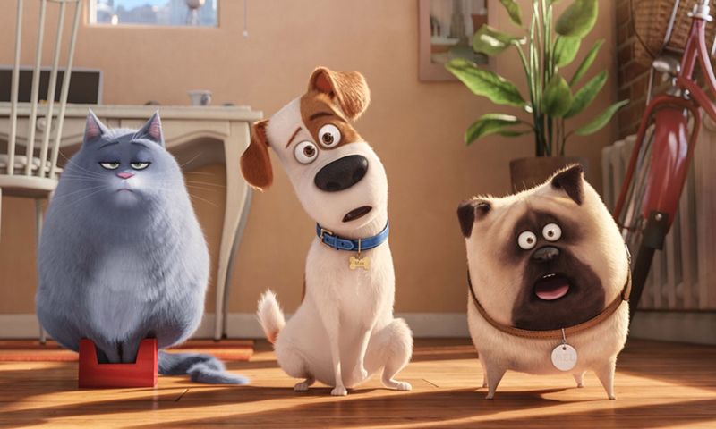 ''Sekretne życie zwierzaków domowych'' już na DVD, Blu-Ray i Blu-Ray 3D
