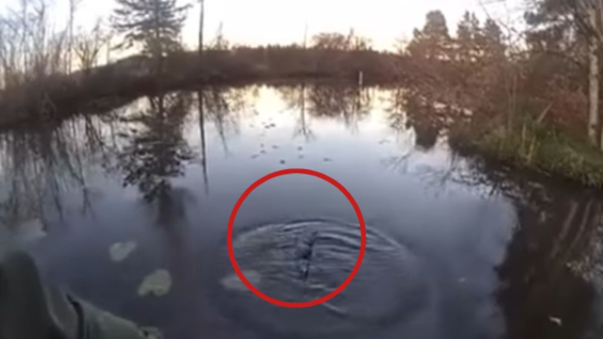 Byli przekonani, że to aligator. Prawda zaskoczyła wszystkich