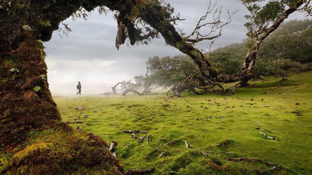 Zobacz najlepsze zdjęcie z Instagrama według Photobox 1