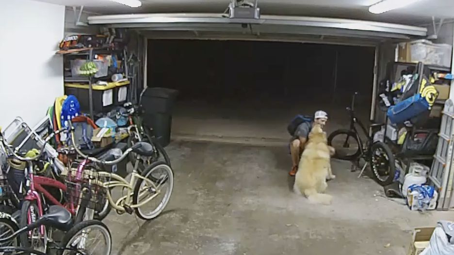 Mężczyzna zrobił przerwę podczas kradzieży, żeby przytulić psa