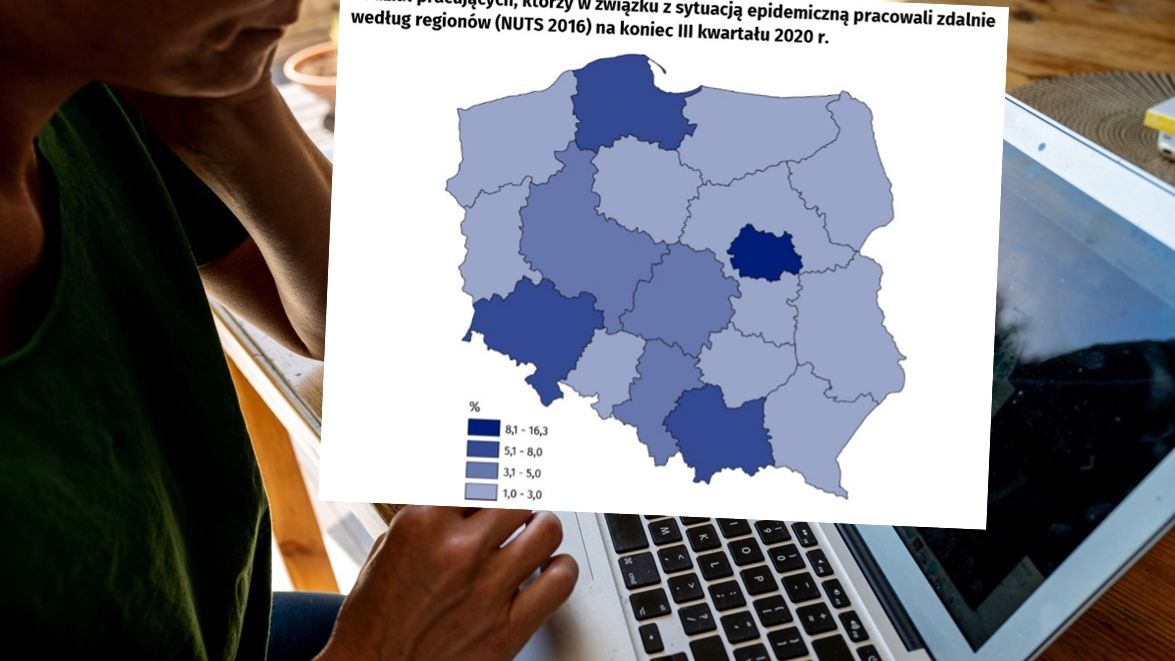 Na praćę zdalną przeszło tylko kilka procent zatrudnionych.