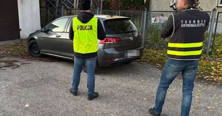 Ukradł samochód z Niemiec. Polak wpadł przez GPS