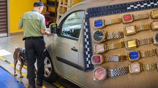 Wpadł na granicy z Polską. Oto co chciał wwieźć do Unii Europejskiej