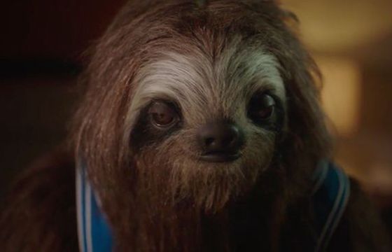 Kampania przeciw narkotykom ze spotami z leniwcem wyśmiana przez nastolatki (wideo)