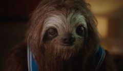 Kampania przeciw narkotykom ze spotami z leniwcem wyśmiana przez nastolatki (wideo)