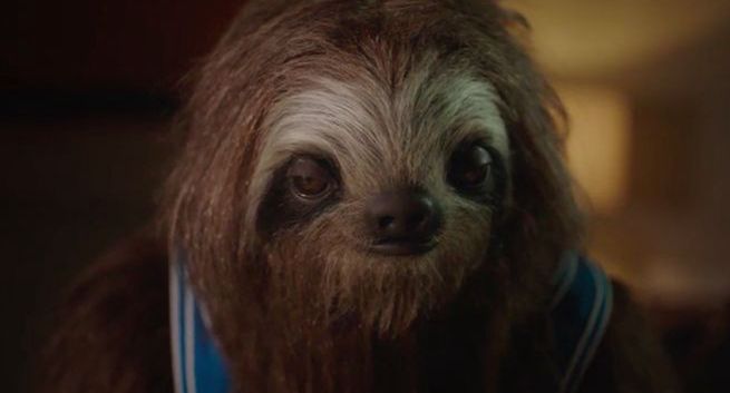 Kampania przeciw narkotykom ze spotami z leniwcem wyśmiana przez nastolatki (wideo)